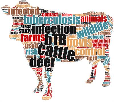 Frontiers | Editorial: Bovine Tuberculosis—International Perspectives ...